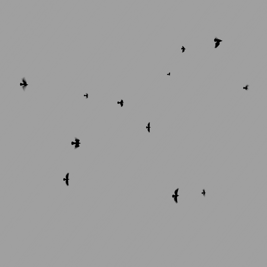 Crows Flock - Static - Low-Angle - 003 | FX Elements