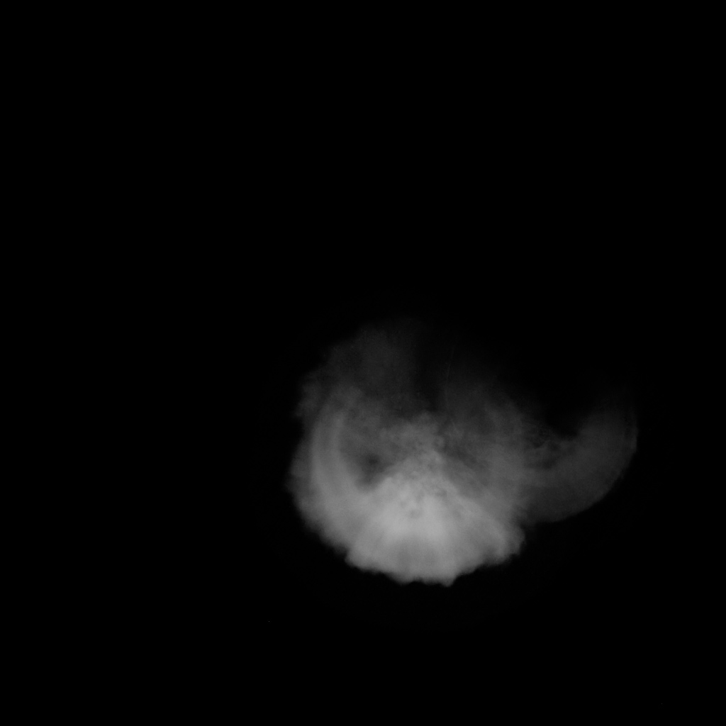 Smoke Ring - 012 | FX Elements